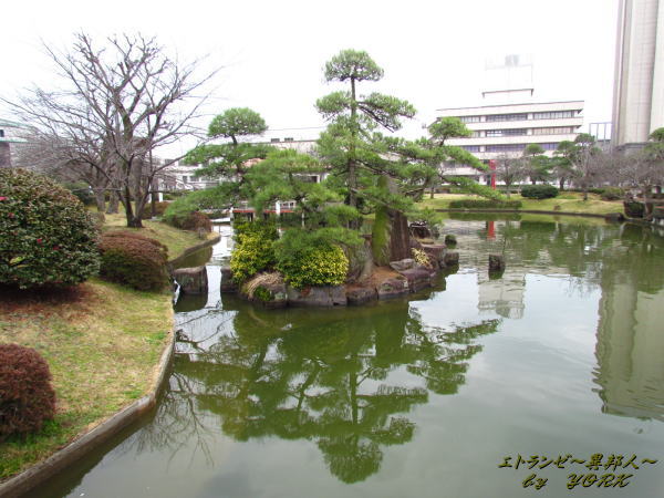 1736加古川市民会館前の公園120318