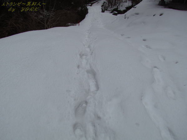 7363先人達の足跡150215