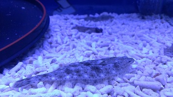 2013_08_14_05