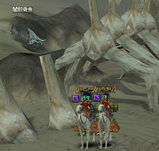 t5