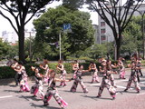 YOSAKOI�Ȥ�ޭ�
