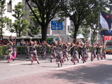 YOSAKOI�Ȥ�ޭ�