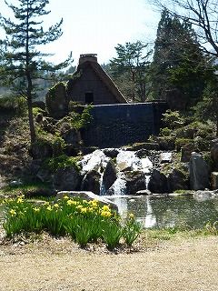 桜の白川郷の画像