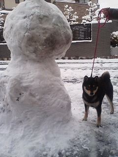 23年1月17日大雪の画像