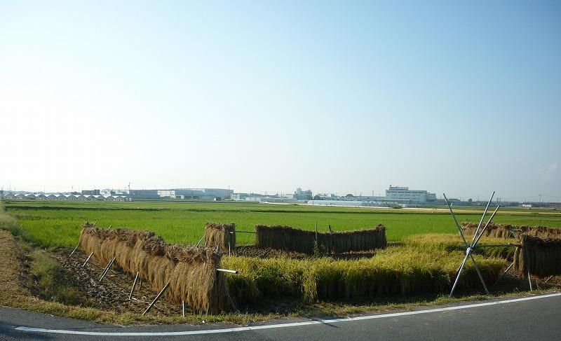歩きました。朝6時30分のウオーキングの画像