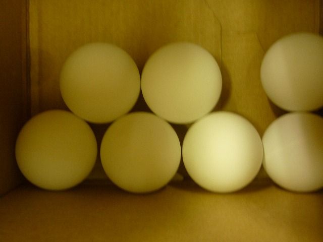 卓球講座1月28日の日記の画像