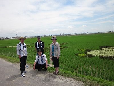 「ミステリーツアー」ウオーキング4kmコースに行ってきました。7,700歩の画像