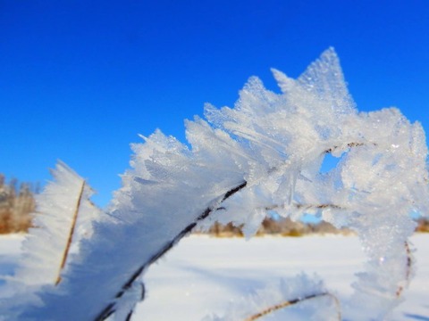 asahikawa4