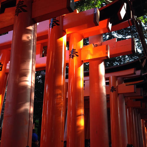 fushimiinari5