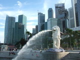 mar Lion