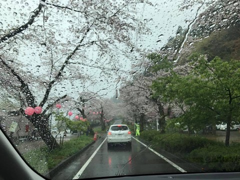 花見