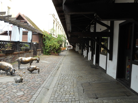 DSCN1854