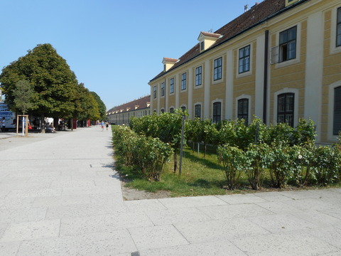 DSCN2153