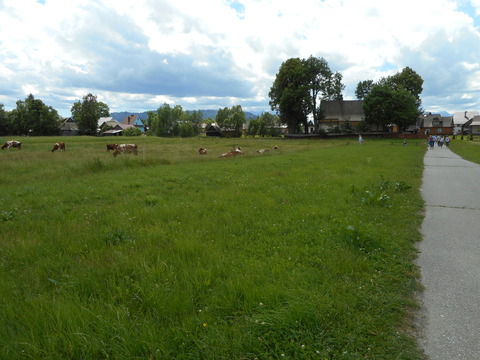 DSCN1900