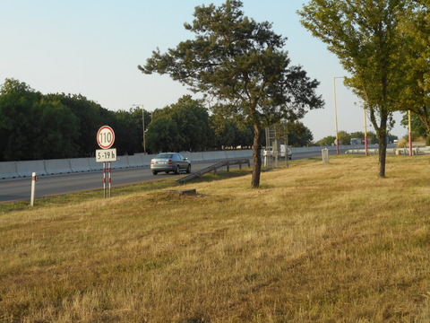 DSCN2162