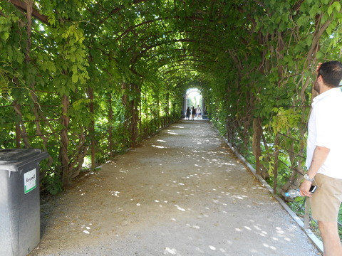 DSCN2146