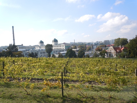 DSCN1905