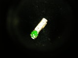02a01f48.jpg