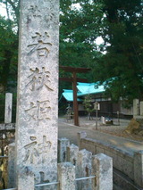 2b859320.jpg