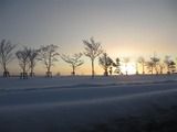 a2dce84f.jpg