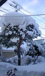 cbc4e5a8.jpg