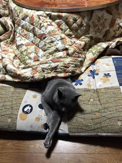 22528216_10210761842704724_5588707661367943509_n