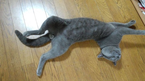 22548676_10210761840744675_9080054432351326420_o