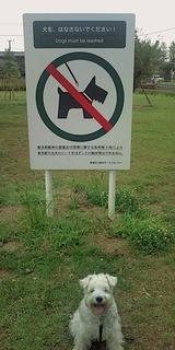 3458931c.jpg