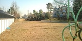 95c413cd.jpg