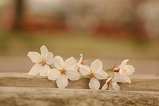 livedoorblog_2008_0324_001