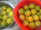 ume