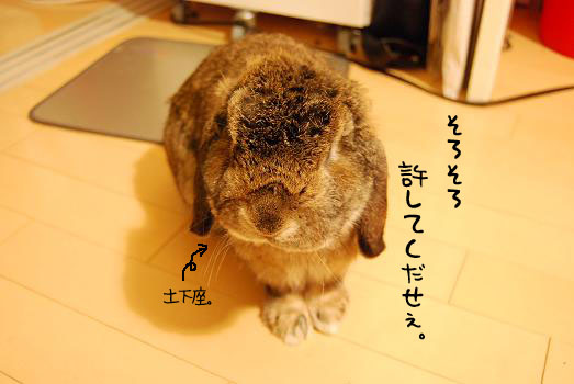 DSC_0560�Υ��ԡ�