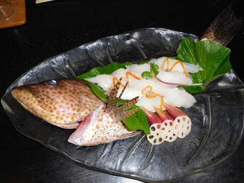 DSCN0317