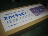 ¥¹¥«¥¤¥Á¥ç¥Ó¥£ New01-01