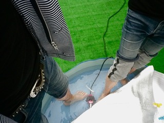 rolly_11