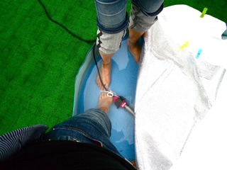 rolly_12