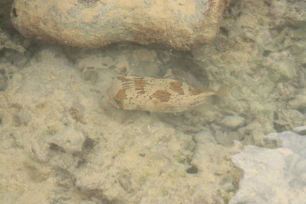 20100708_122217