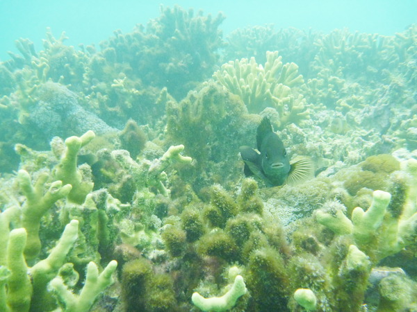 20100710_151521