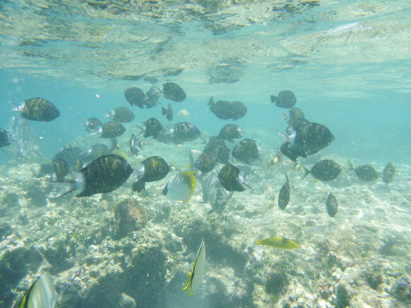 20100711_115821
