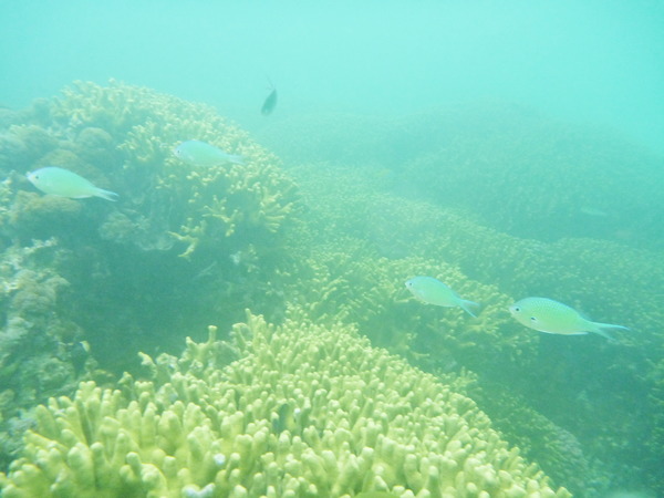 20100710_153250
