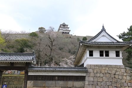 丸亀城3