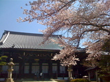kyoto
