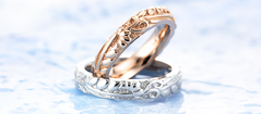 collection_01
