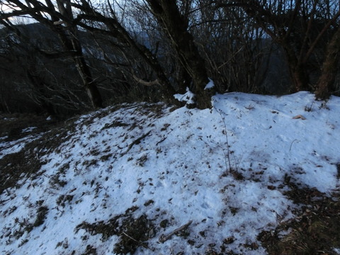 06新雪
