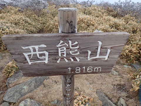 PC230977