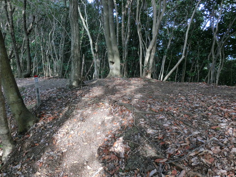 CIMG0441