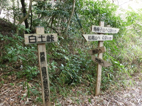 CIMG0475