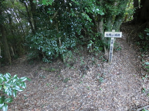 CIMG0453