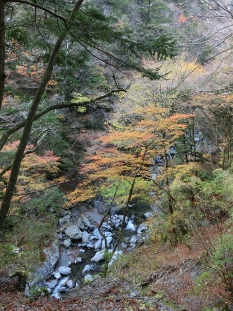 02紅葉