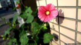 ƻü�˺餯��